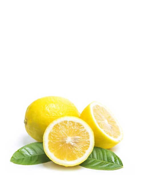 Lemon honey recipes contact